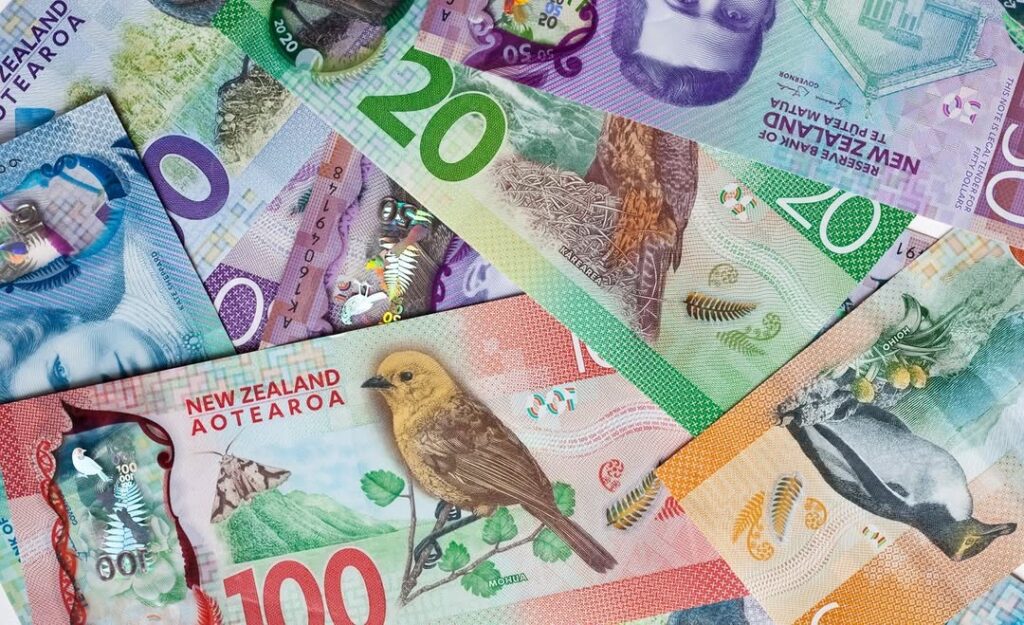 Fake NZD Bills