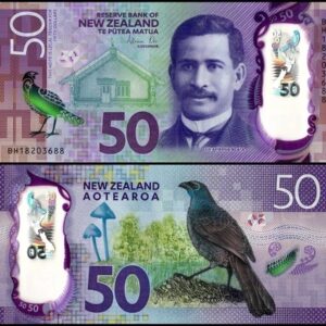 Fake 50 NZD bills