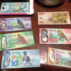Fake 10 New Zealand Dollar